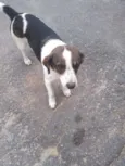 Rubi