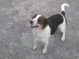 Rubi