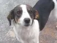 Rubi