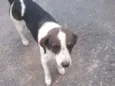 Rubi