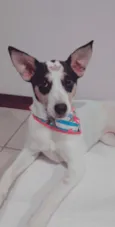Lua