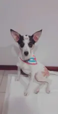 Lua