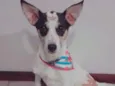 Lua