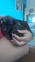 Neguinha