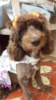 Bella