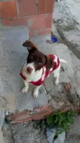 Lua
