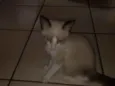 Menininho