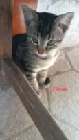 Não tem nomes