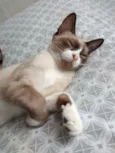 Chloe