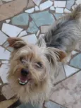 Marley