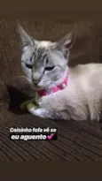 Mel