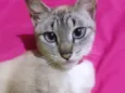 Mel