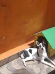 Yudi 