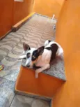 Yudi 