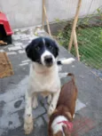 Manolo e Dulce