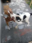 Manolo e Dulce