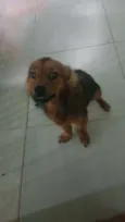 Nick