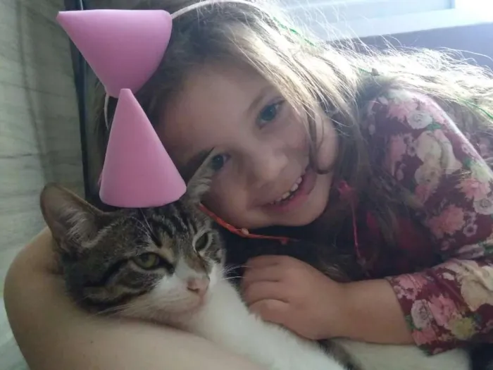 Gato ra a SRD idade 1 ano nome Alecrim e Serafim