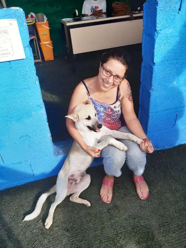 Cachorro ra a SRD idade 1 ano nome Cappuccino