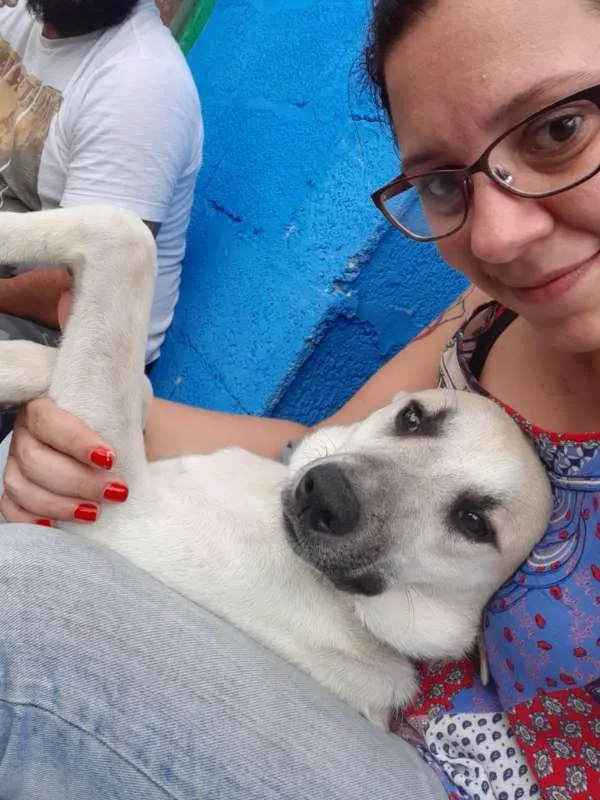 Cachorro ra a SRD idade 1 ano nome Cappuccino