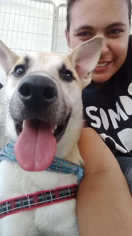 Cachorro ra a SRD idade 1 ano nome Cappuccino
