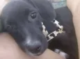 Tuinha