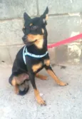 Bia