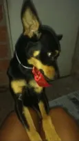 Bia
