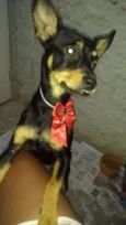 Bia