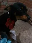 Bia