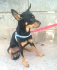 Bia