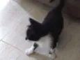 Sem nome