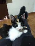 Não tem