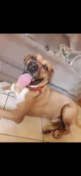 Ralf