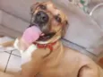 Ralf