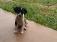 Mia