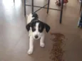 Mia