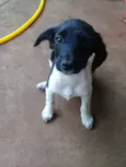 Não tem