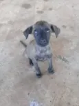 Não tem