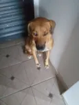 Meg, 2anos./linda4me