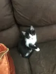 Miguel