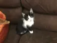 Miguel