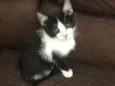 Miguel