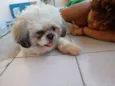 Joaquim