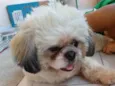 Joaquim