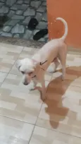 Bob