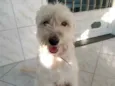Bob