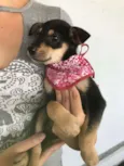 Mia Mel