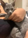 Tom