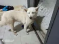 Não sei
